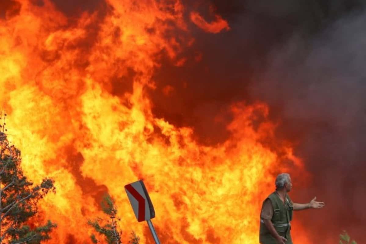 Бушующие во Франции пожары нанесли серьезный ущерб виноделам в Провансе — из вина невозможно удалить запах гари