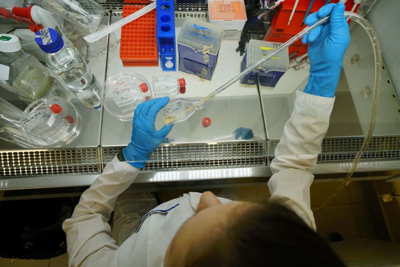 “Russian science has been exterminated”: Researchers from Russia on the ramifications of war and sanctions