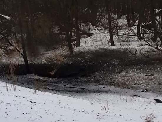 Тульские власти: Взрыв в области мог устроить беспилотник