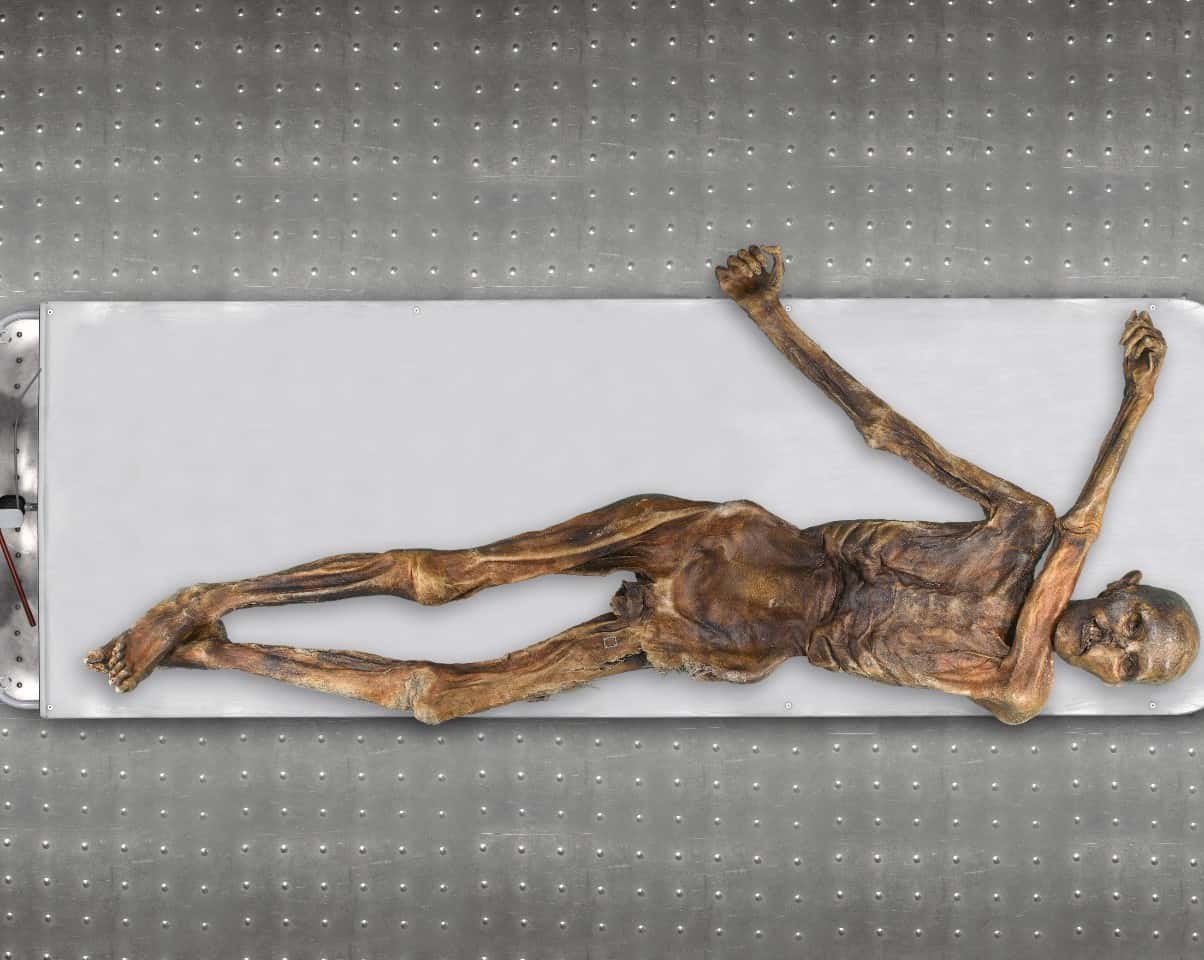 Ученые заново прочли геном Этци — тирольского ледяного человека. Он оказался темнокожим, лысым и склонным к ожирению