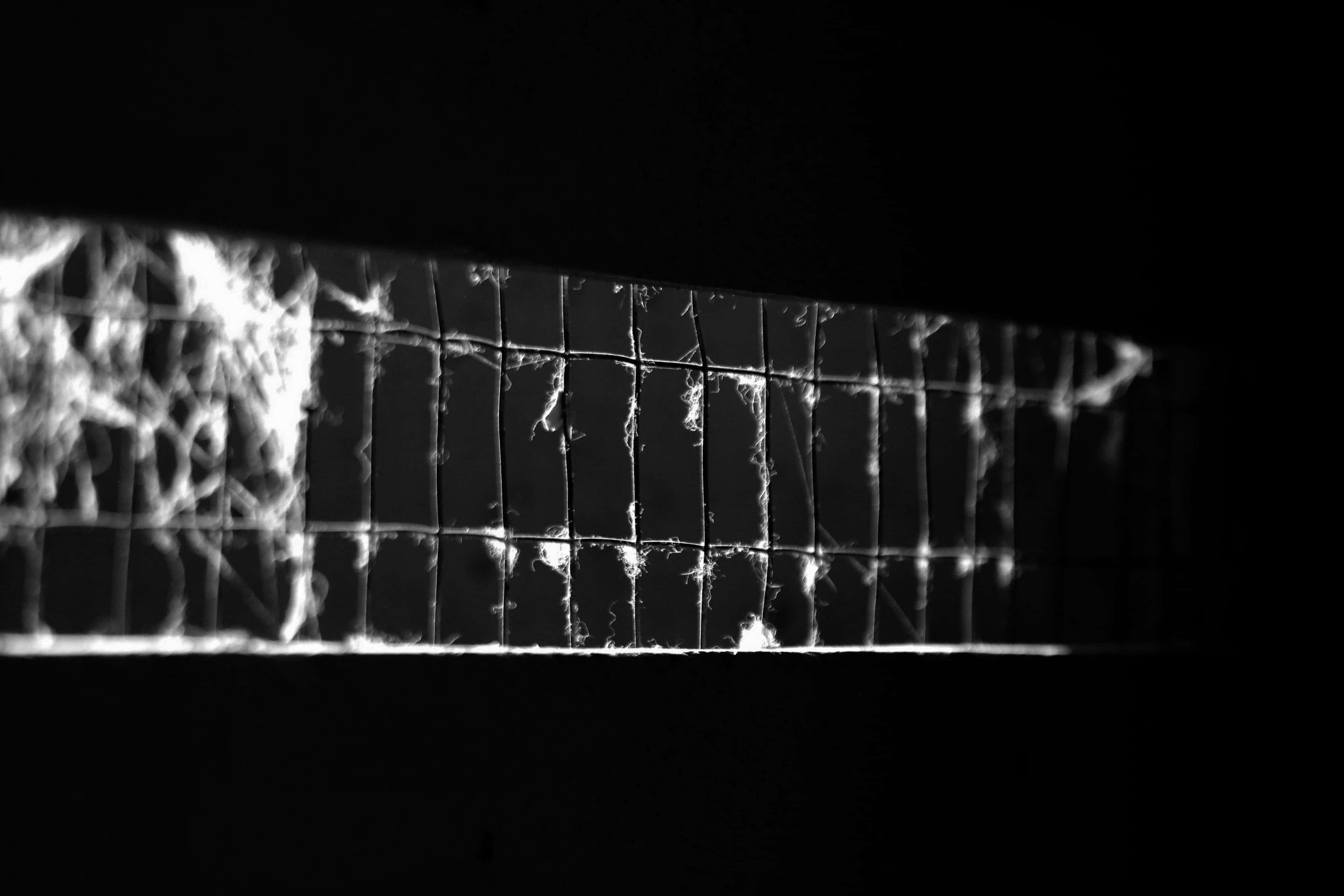 «Первый отдел»: 792 человека стали фигурантами уголовных дел о шпионаже, госизмене и конфиденциальном сотрудничестве за время войны