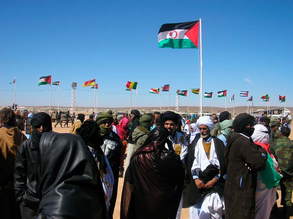 Global irresponsibility: The Trump-backed Western Sahara annexation sets a nasty precedent