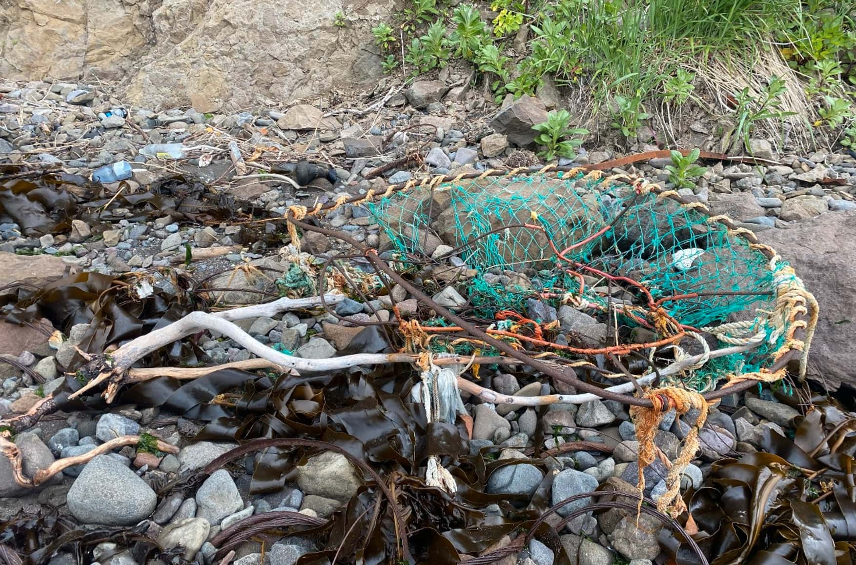 Catch your fish and eat it too: Inside Kamchatka’s poaching empire