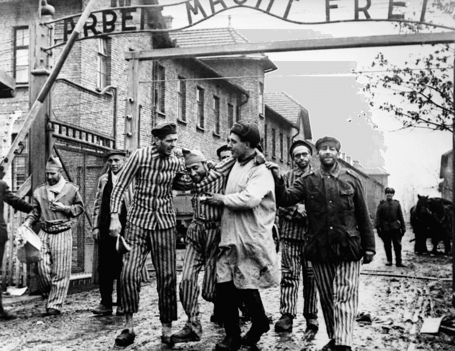 «Молотов, Риббентроп, просыпайтесь! Путин сошел с ума!» Зигмунт Дзеньчоловский к годовщине освобождения Освенцима