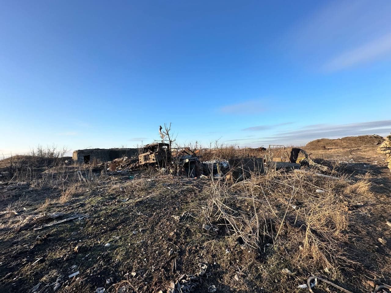 Изображение из галереи