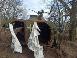 Миниатюра 6