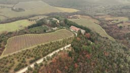 The grounds of the Fattoria della Aiola winery