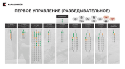 Фрагменты из презентации Центра 795, подготовленной в 2023 году для Владимира Путина