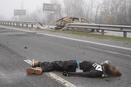 Миниатюра 6