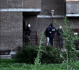 Миниатюра 4