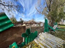 Миниатюра 8