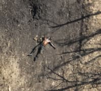 Миниатюра 6