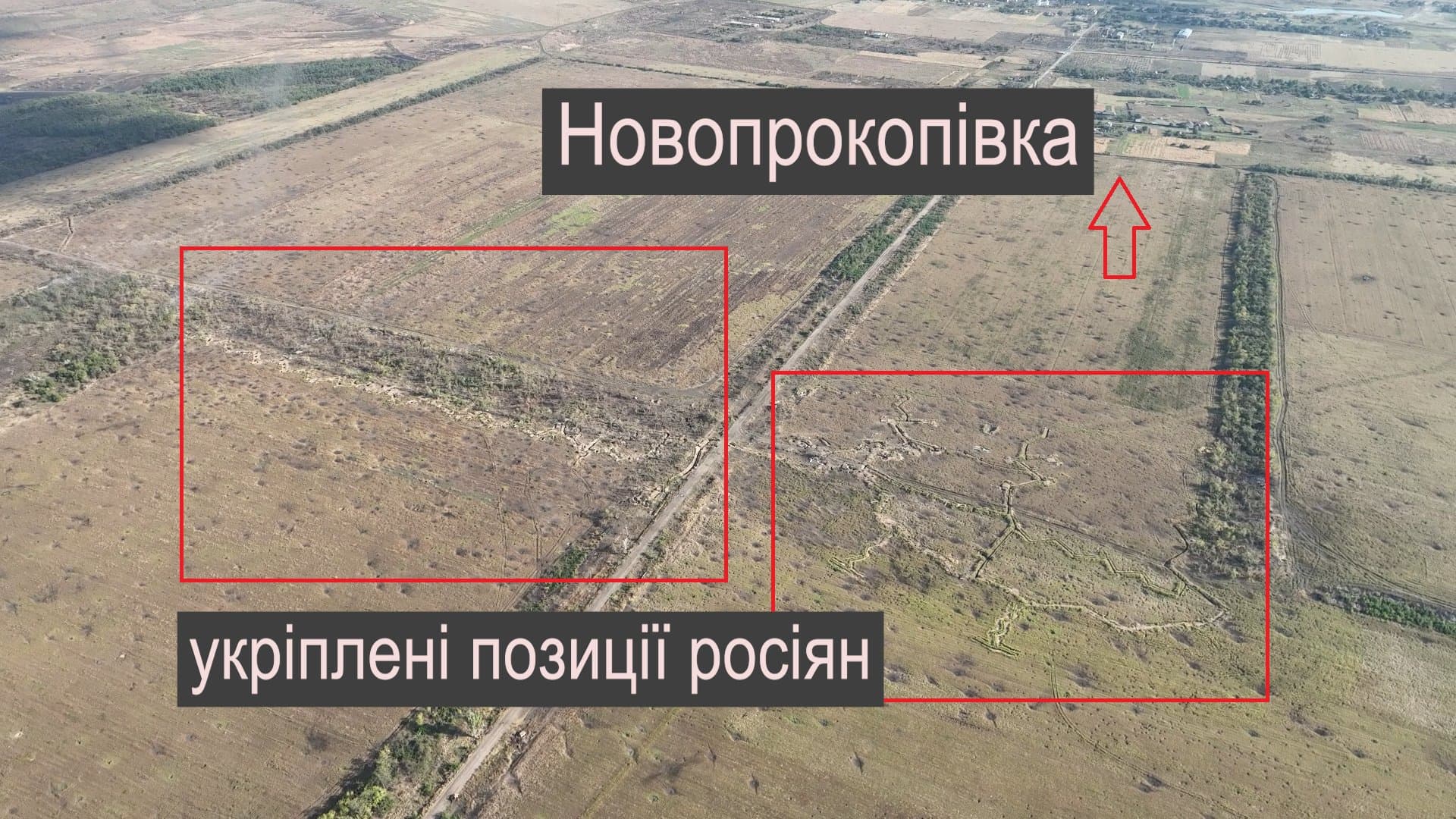 Изображение из галереи