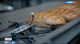 Миниатюра 2