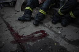 Миниатюра 5