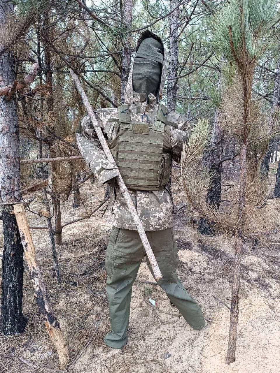 Изображение из галереи