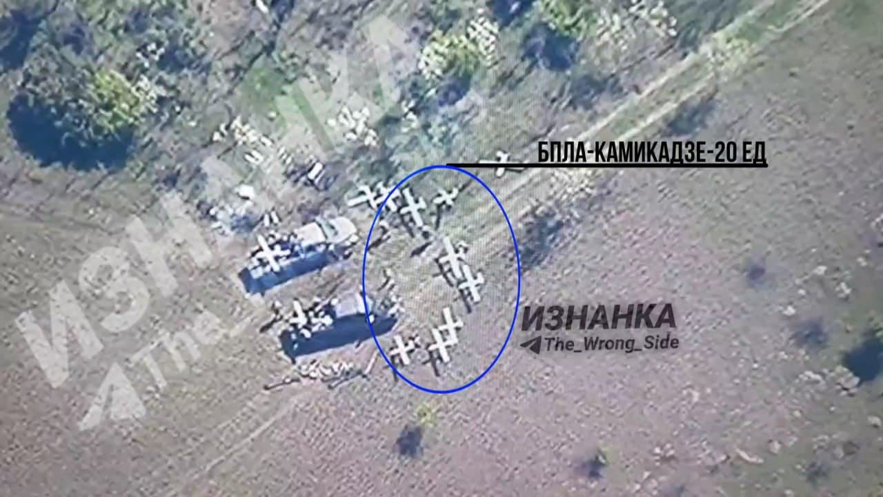 Изображение из галереи