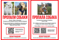 “Dogs missing. Ruble and Economy. Last seen on February 24, when Putin invaded Ukraine. Without them, you get poverty, unemployment, soaring prices, shortages of drugs, electronics, food, and manifold increases of interest rates. Tell your deputy you don’t need war. Ask them to oppose it. Reward guaranteed! Please spread the word.” “Dog missing. Answers to the name of ‘Peace’. Last seen on February 23. Putin took him away when his troops invaded Ukraine. You can bring Peace back home. Looking for Peace: March 6, 15:00, city center. Sign the petitions to stop the war and impeach Vladimir Putin. Reward guaranteed! Please spread the word.”