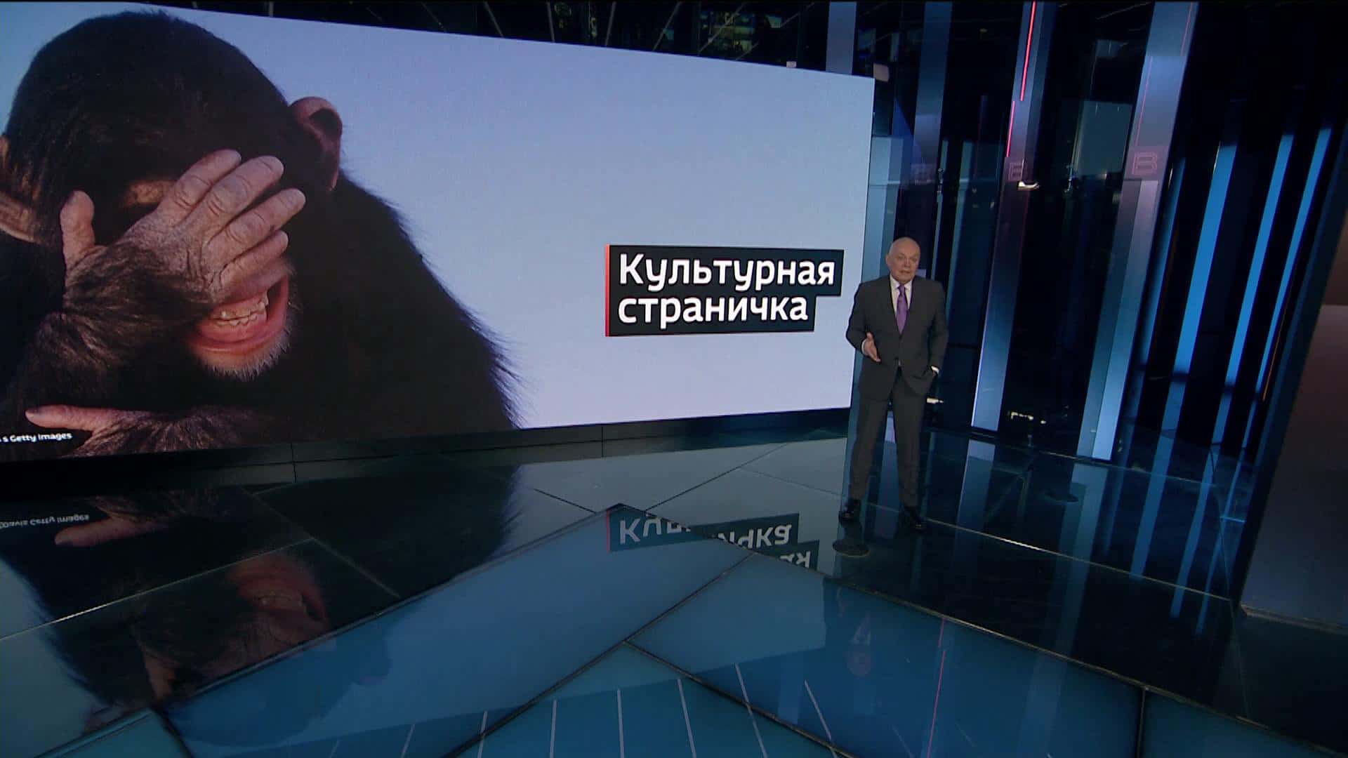 Киселев попытался найти подтверждения словам Путина об «издевательствах над детьми» на Западе. Не получилось