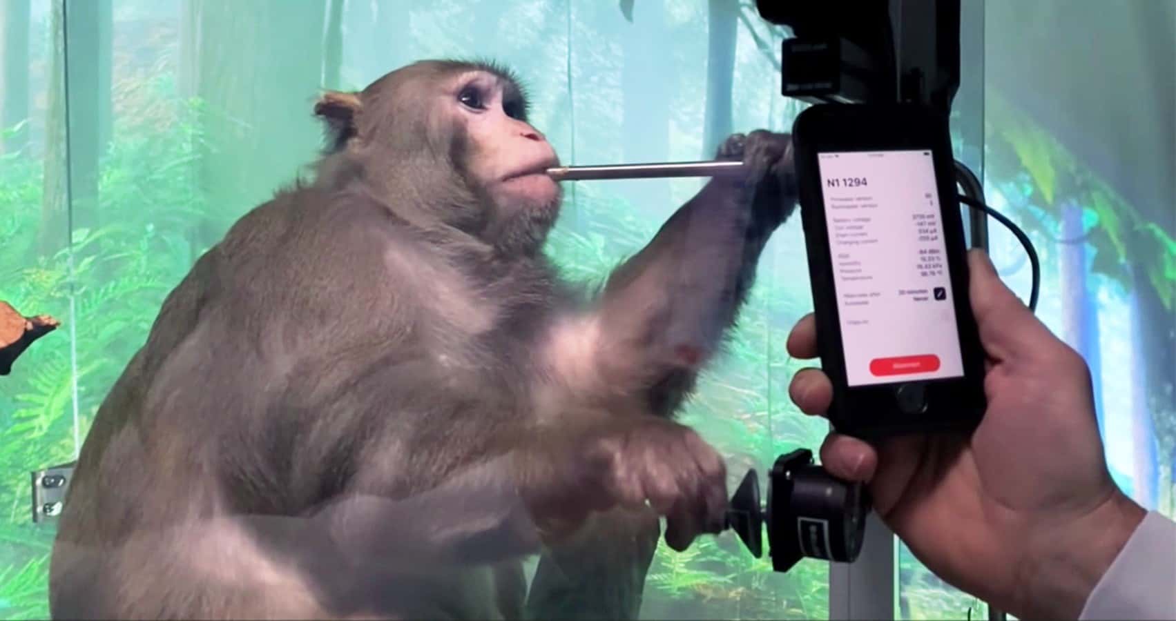 Компании Илона Маска Neuralink разрешили тестировать мозговые чипы на людях