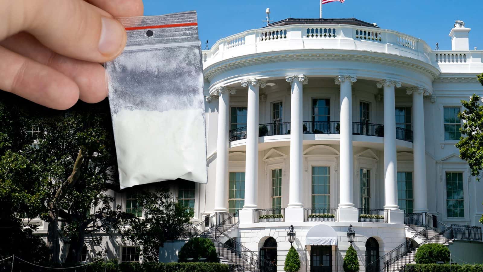 Фейк федеральных телеканалов: пакет с кокаином, найденный в Белом доме, принадлежал Хантеру Байдену