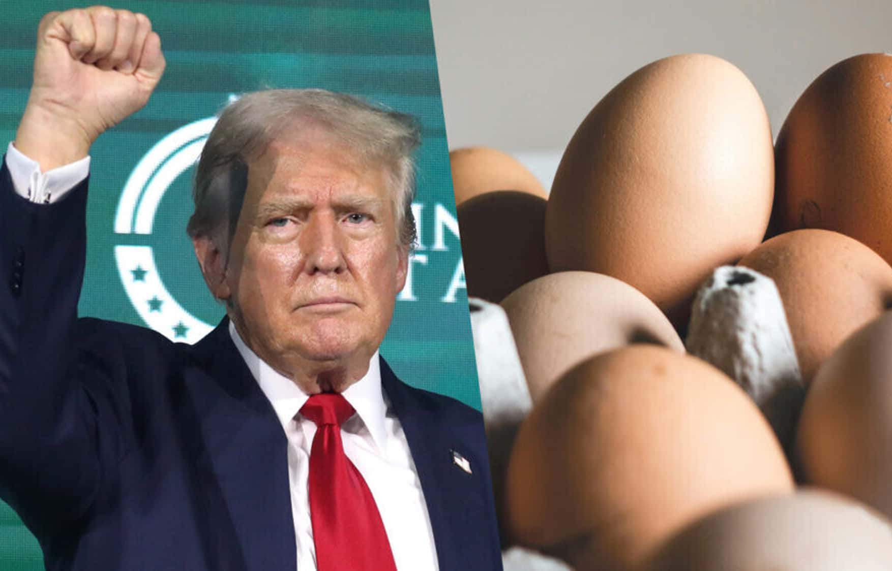 The eggs of wrath: Trump’s tariffs could harm the U.S. economy most of all