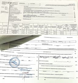 Миниатюра 5