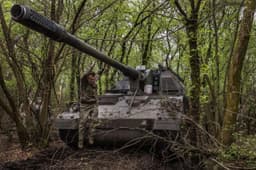 Миниатюра 8