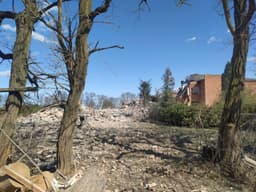 Миниатюра 7