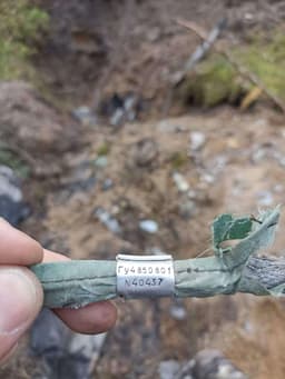 Миниатюра 11