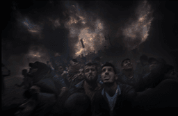 Миниатюра 3