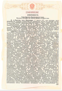 Миниатюра 4