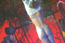 Миниатюра 4