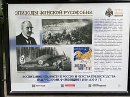 Миниатюра 9