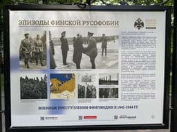 Миниатюра 13