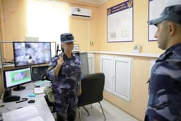 Миниатюра 6