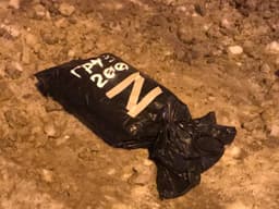 Миниатюра 9