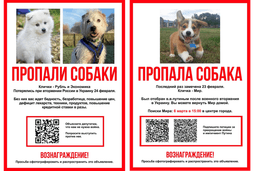 Миниатюра 14