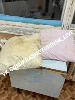 Миниатюра 3