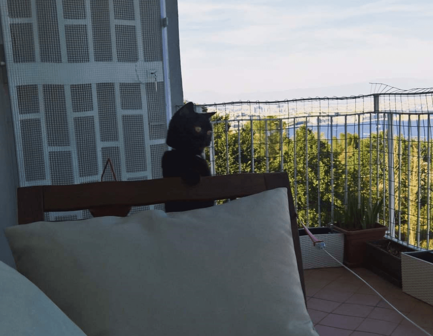 Источник: Instagram Марии «Аделы»