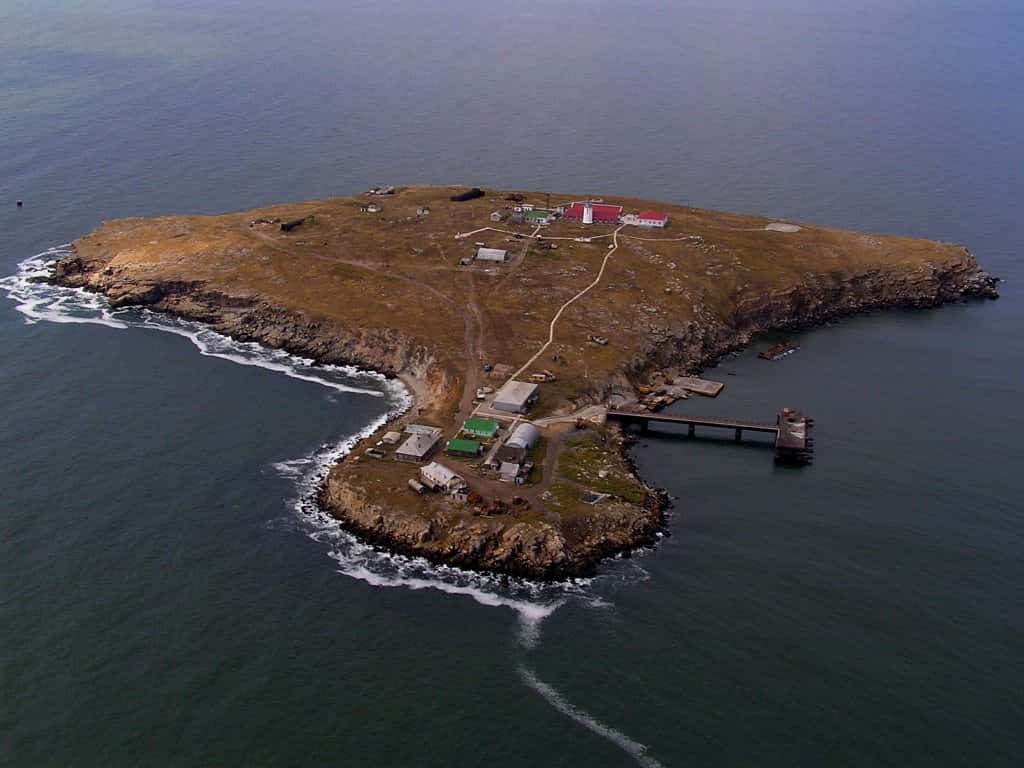 Фейк Минобороны РФ: на острове Змеиный сдались в плен 82 украинских военнослужащих