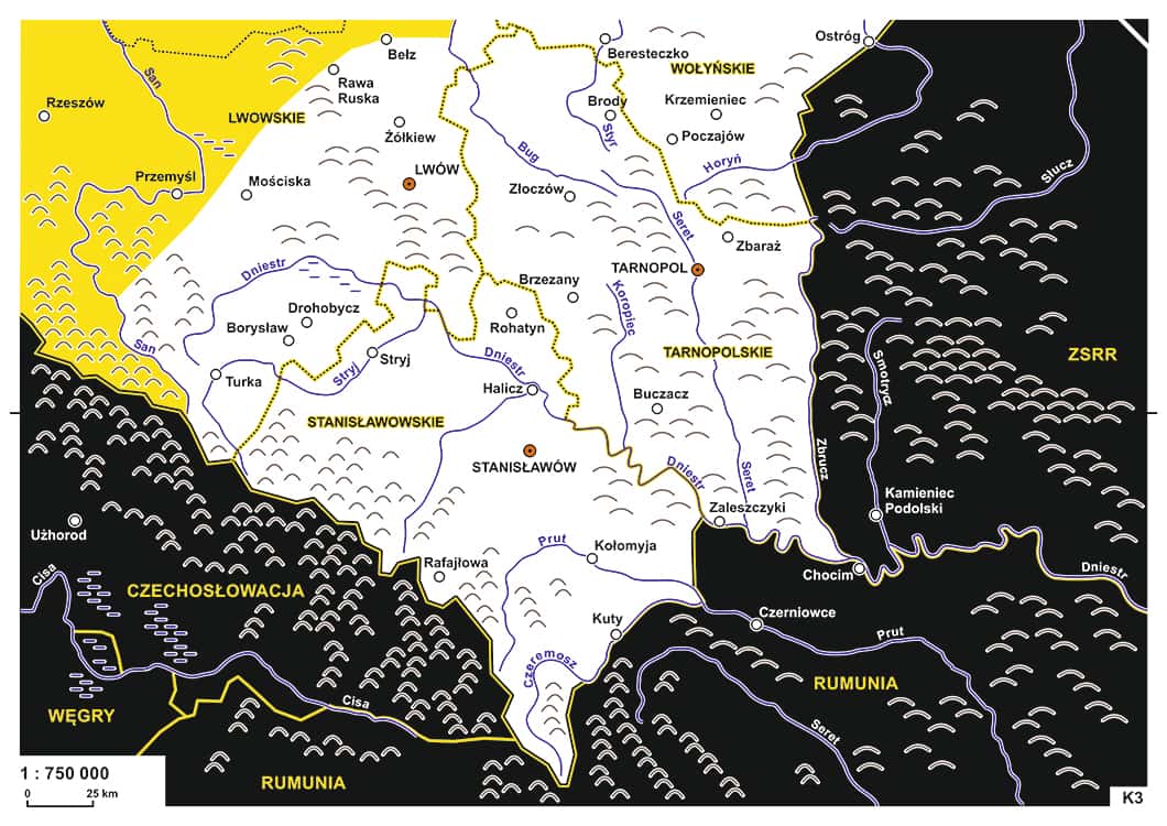Новая жизнь старого фейка. ТАСС и белорусское телевидение сообщили, что Зеленский пообещал отдать Польше запад Украины