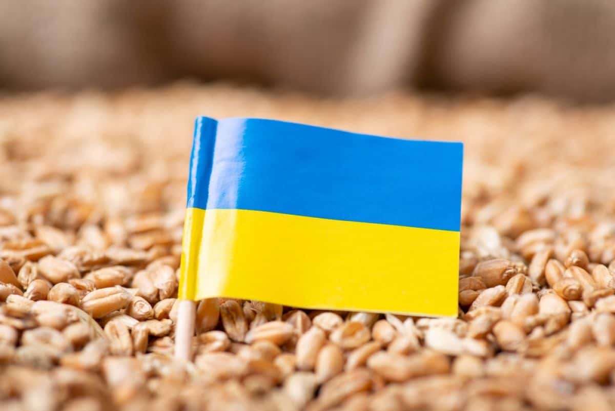 Еврокомиссия продлит ограничение на ввоз украинской сельскохозяйственной продукции в страны ЕС — Wiadomości