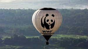 Генпрокуратура РФ признала WWF «нежелательной» организацией