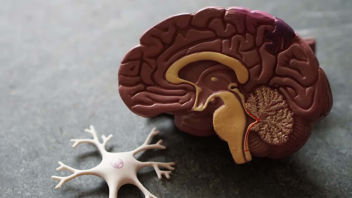 Лекарства от СПИДа помогают при Альцгеймере, показало новое исследование