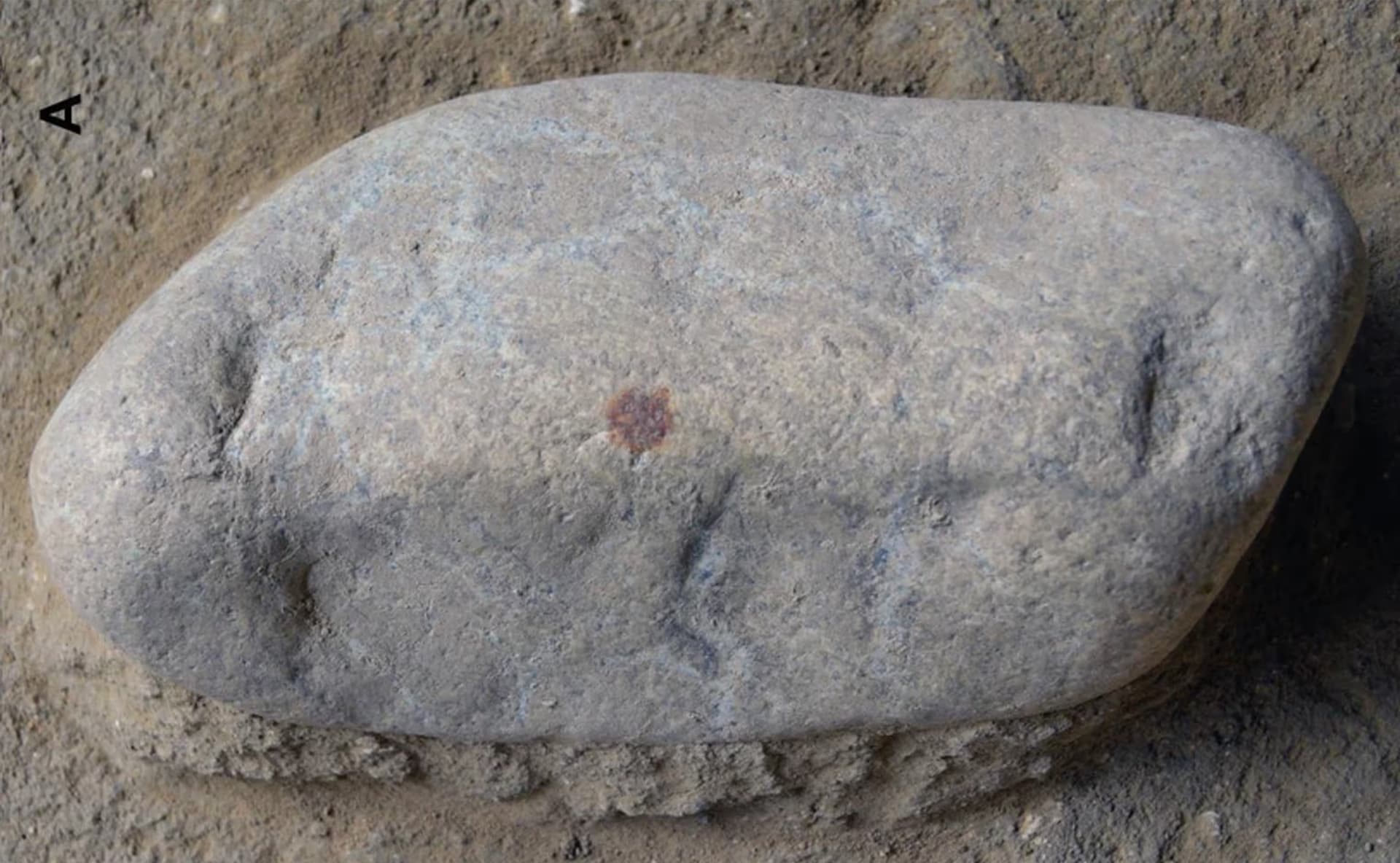 Фото: Álvarez-Alonso et al