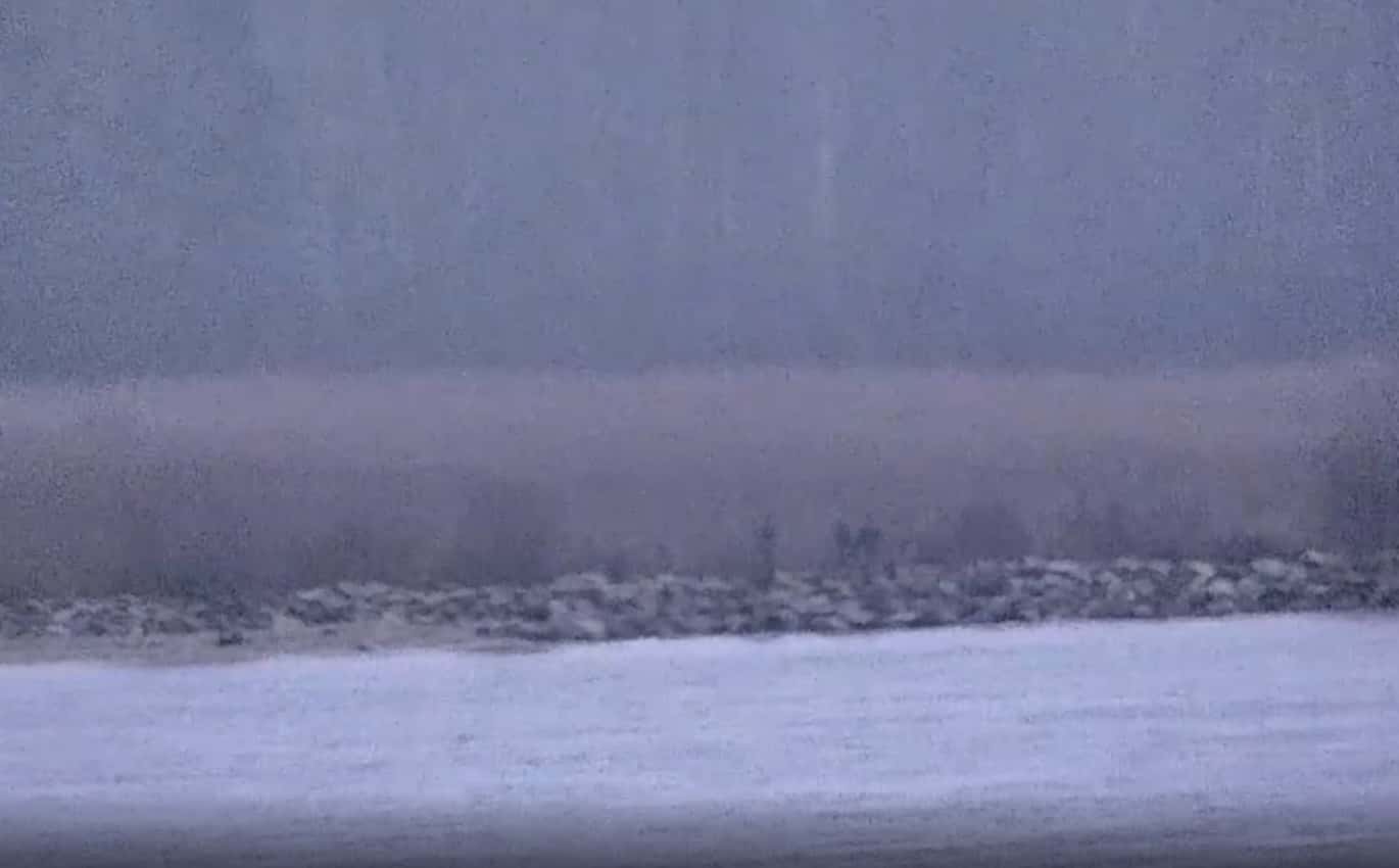 Трое российских пограничников пересекли границу Эстонии у мыса Васкнарва и находились на территории страны в течение 20 минут