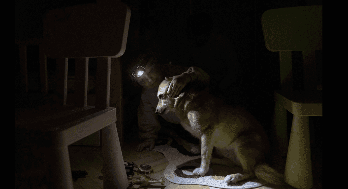 Гретые кирпичи в кровати, купленные в складчину генераторы, свечи вместо ламп: как Киев выживает без света и тепла