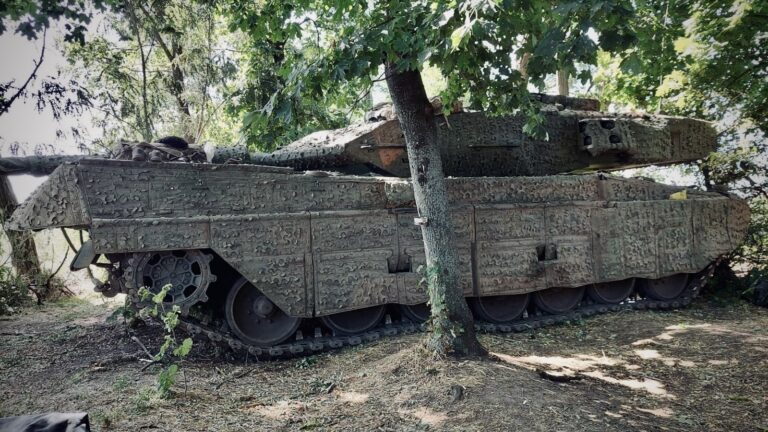 Иллюстрация к материалу