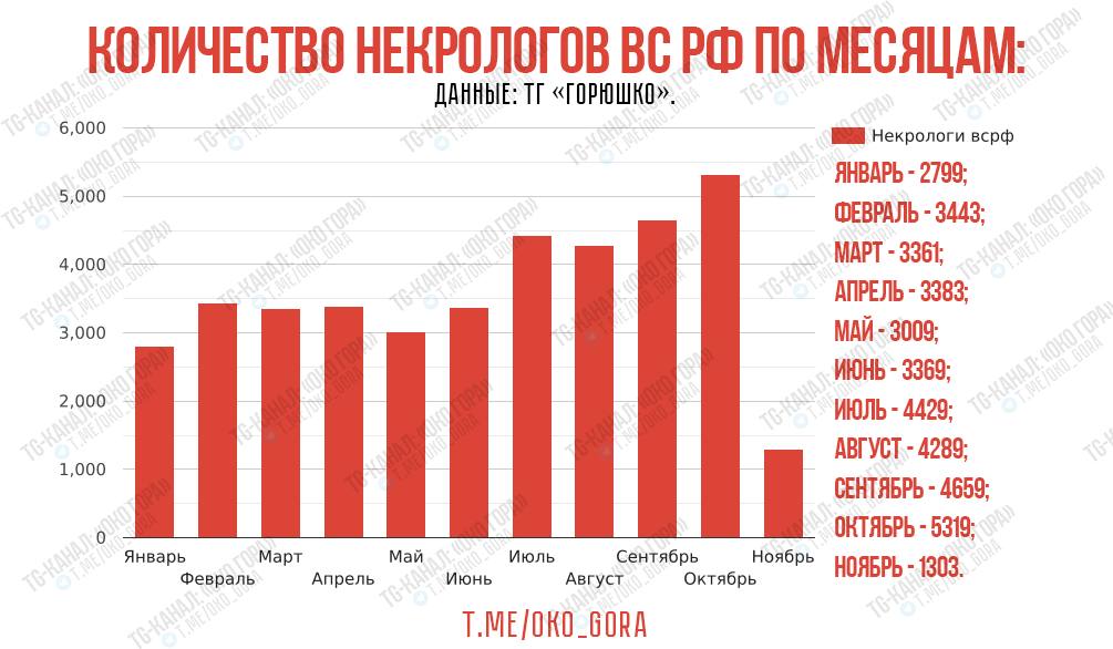 Помесячная динамика потерь ВС РФ в 2024 году по подсчетам Telegram-канала «Горюшко» 